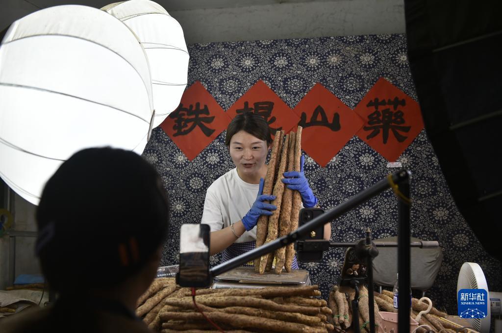 白菜网送彩金2018不限ip